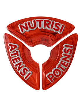 Pilar Nutrisi, Atensi dan Potensi