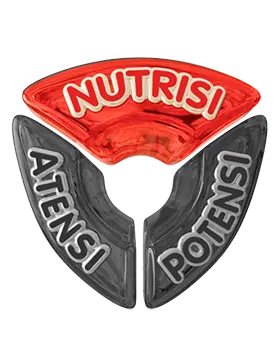 Pilar Nutrisi